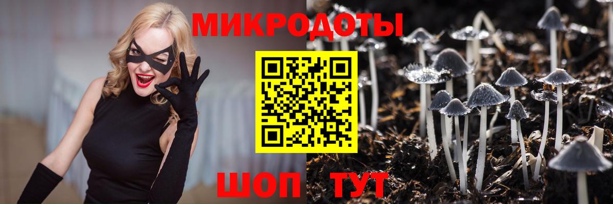 Пугачёв  Галлюциногенные грибы MAGIC MUSHROOMS  Вход с VPN 